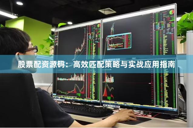 股票配资源码：高效匹配策略与实战应用指南