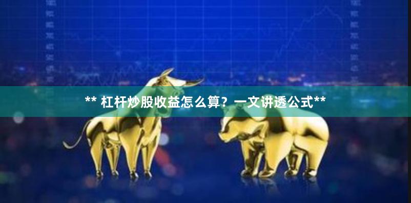 ** 杠杆炒股收益怎么算？一文讲透公式**